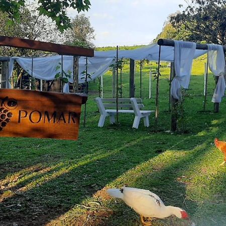 Casa Na Arvore Com Hidro, Piscina, Trilha, Cavalo Бенту-Гонсалвис Экстерьер фото