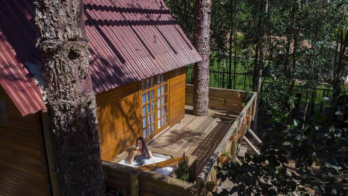 Casa Na Arvore Com Hidro, Piscina, Trilha, Cavalo Бенту-Гонсалвис Экстерьер фото