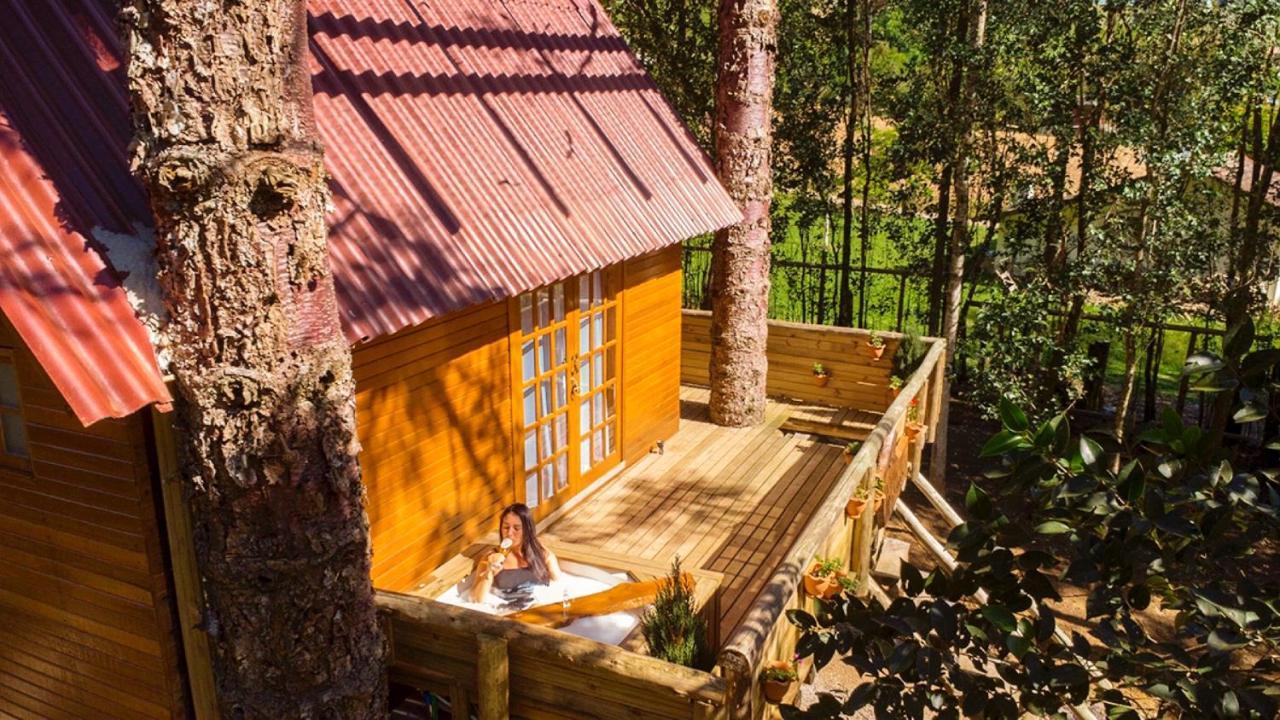 Casa Na Arvore Com Hidro, Piscina, Trilha, Cavalo Бенту-Гонсалвис Экстерьер фото