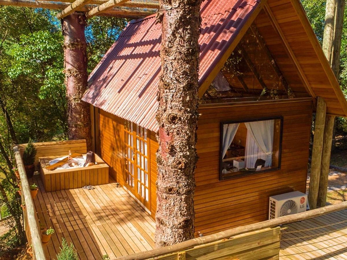 Casa Na Arvore Com Hidro, Piscina, Trilha, Cavalo Бенту-Гонсалвис Экстерьер фото
